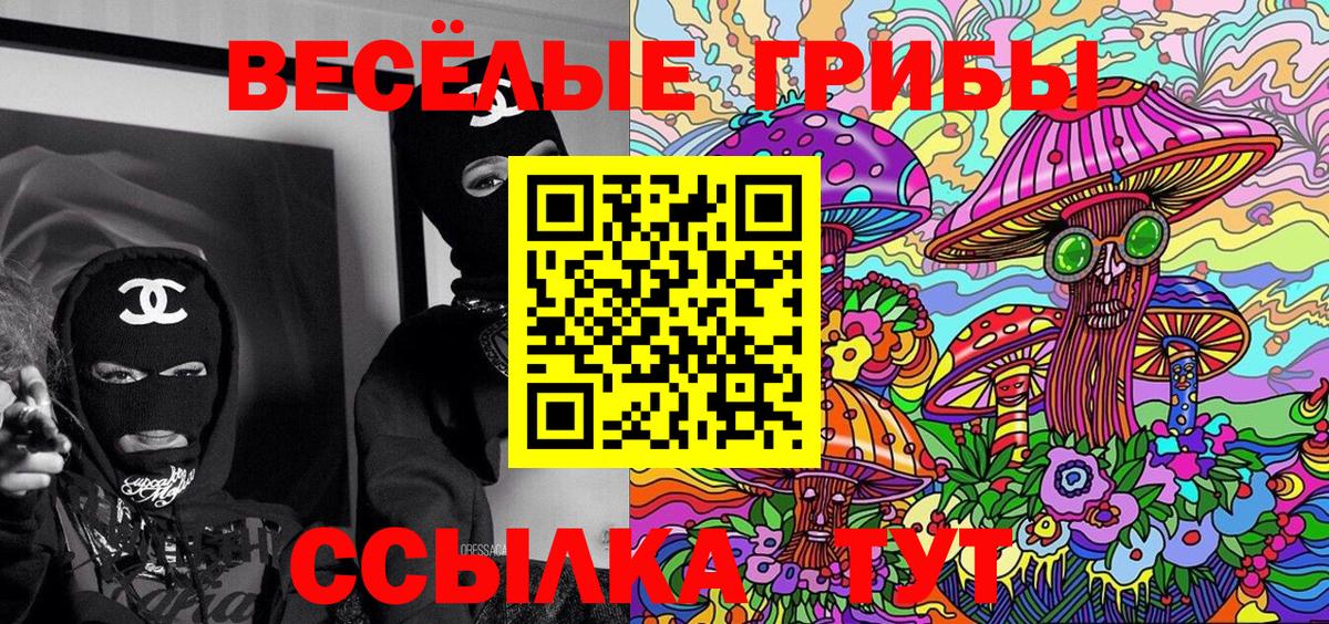 Псилоцибиновые грибы GOLDEN TEACHER  Вход с VPN  купить  цена  Углич 