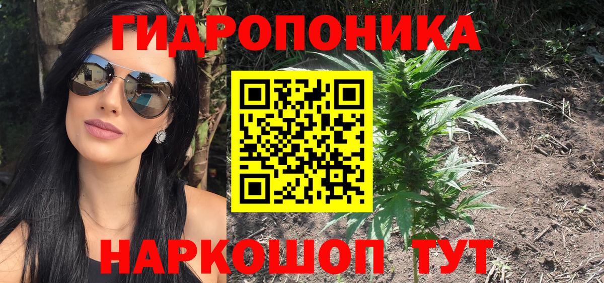 Канабис ГИДРОПОН  МАРИХУАНА планчик  Бошки Шишки марихуана  Вход с VPN  Углич 
